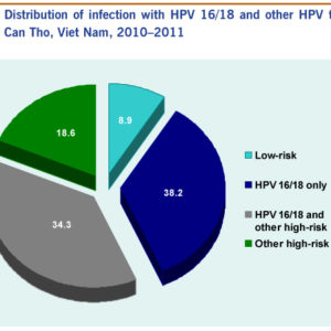 AccuPid HR-HPV Genotyping Kit (16,18)