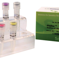 DiaStar™ OneStep RT-PCR Kit, 50 reactions