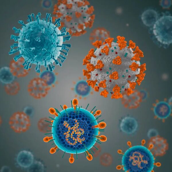 AccuPid Covid 19-FluA-FluB Detection Kit (RUO)